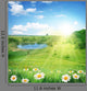 Summer Chamomile Wall Decal