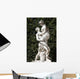 Greek Mythology Abduction Helen Wall Decal