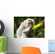 Monkey Eating Ice Cream Wall Decal