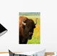 Wyoming Bison 3 Wall Decal