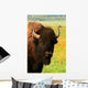 Wyoming Bison 3 Wall Decal