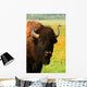 Wyoming Bison 3 Wall Decal