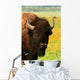 Wyoming Bison 3 Wall Decal