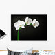 White Orchid Wall Decal