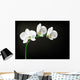 White Orchid Wall Decal