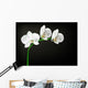 White Orchid Wall Decal
