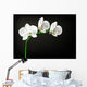 White Orchid Wall Decal