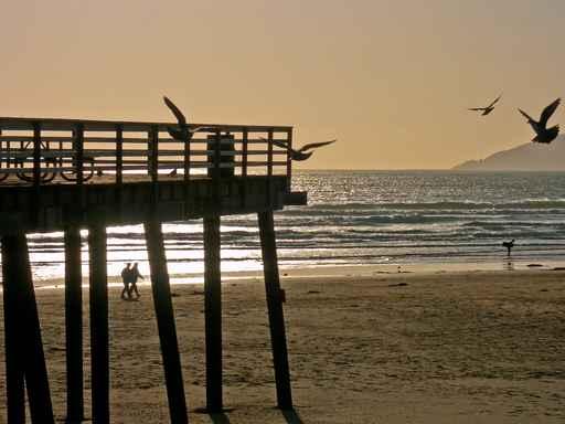 Pier Wall Decal
