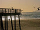 Pier Wall Decal