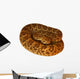 Deadly Mojave Rattlesnake Wall Decal
