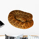 Deadly Mojave Rattlesnake Wall Decal