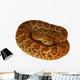 Deadly Mojave Rattlesnake Wall Decal