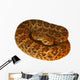 Deadly Mojave Rattlesnake Wall Decal
