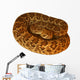 Deadly Mojave Rattlesnake Wall Decal