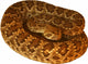 Deadly Mojave Rattlesnake Wall Decal