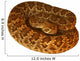 Deadly Mojave Rattlesnake Wall Decal