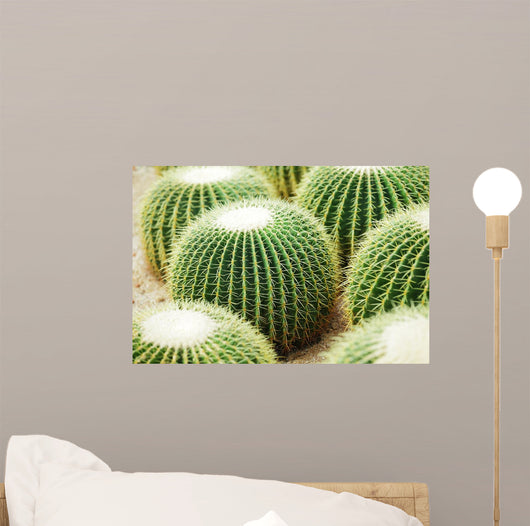 Cactus Wall Decal