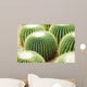 Cactus Wall Decal