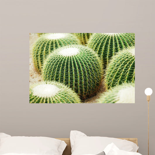 Cactus Wall Decal