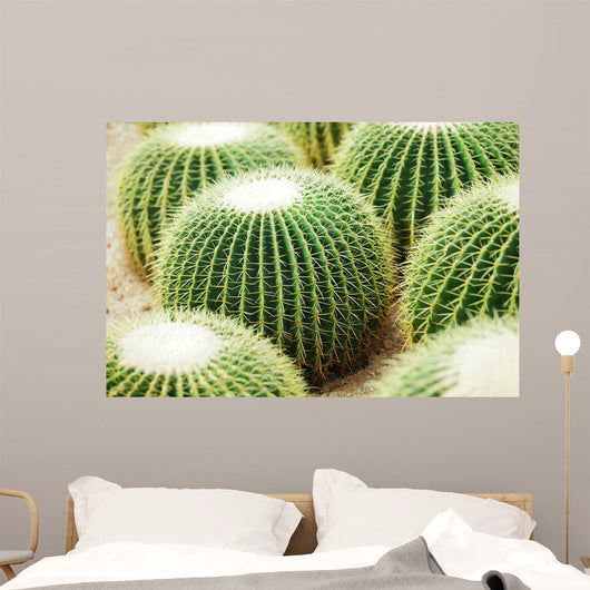 Cactus Wall Decal