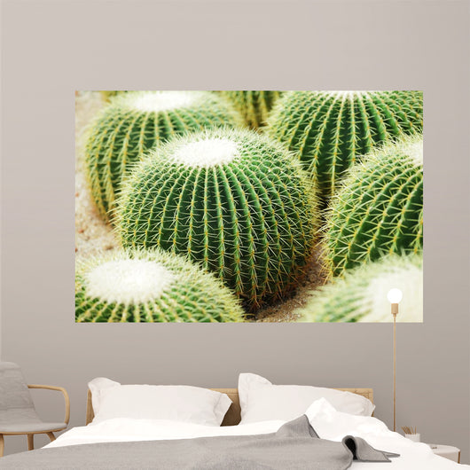 Cactus Wall Decal