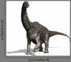 Diamantinasaurus 2 Wall Decal