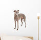 Italian Greyhound Wall Decal