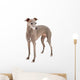 Italian Greyhound Wall Decal