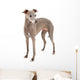 Italian Greyhound Wall Decal