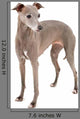 Italian Greyhound Wall Decal