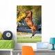 Arabian Horse Rearing up Wall Decal
