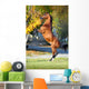 Arabian Horse Rearing up Wall Decal