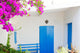 Bluedoor and Bougainvilleas White Wall Decal