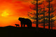 3D Render Bears Wall Decal