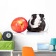 Black Guinea Pig and Wall Decal