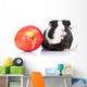 Black Guinea Pig and Wall Decal
