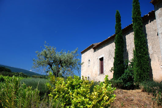 Landscape Provence Wall Decal