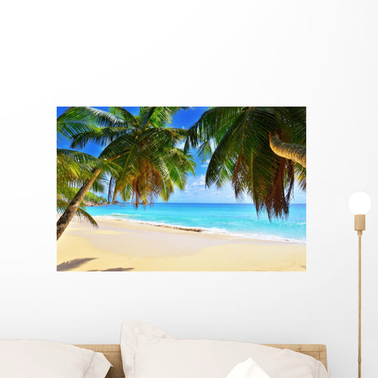 Palm over Tropical Beach Wall Decal
