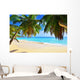 Palm over Tropical Beach Wall Decal
