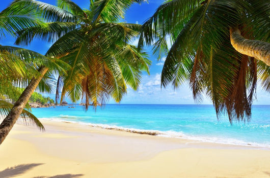 Palm over Tropical Beach Wall Decal