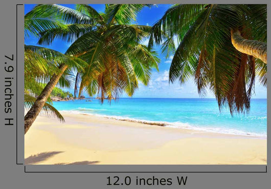 Palm over Tropical Beach Wall Decal