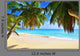 Palm over Tropical Beach Wall Decal