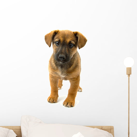 Dog Wall Decal