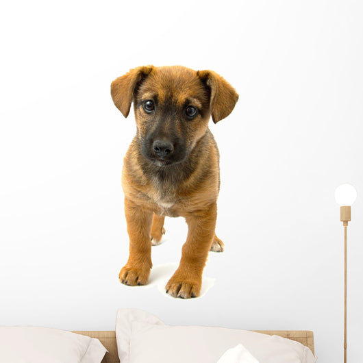 Dog Wall Decal