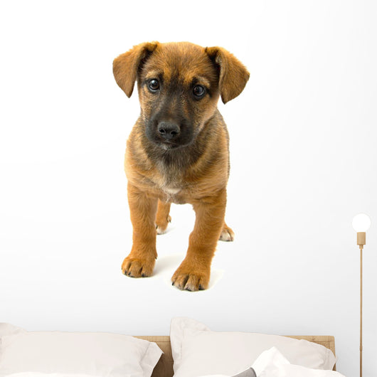 Dog Wall Decal