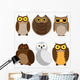 Set Different Owls Wall Stickers Wall Decal
