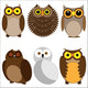 Set Different Owls Wall Stickers Wall Decal