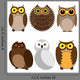 Set Different Owls Wall Stickers Wall Decal