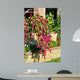 Cat Tail-amaranthus Caudatus Wall Decal