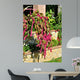 Cat Tail-amaranthus Caudatus Wall Decal